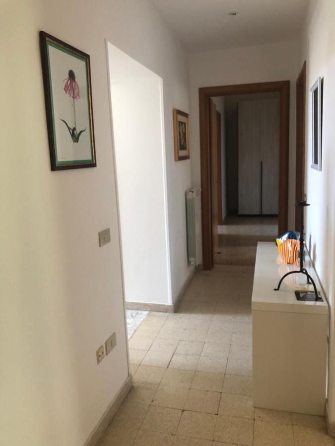 House * Terracina